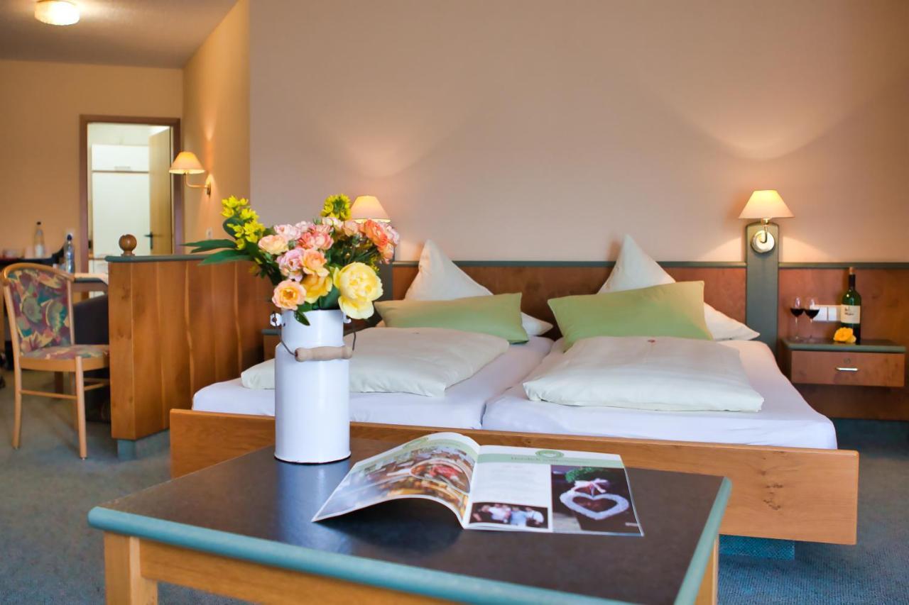 Landhotel Henkenhof Willingen Willingen  Extérieur photo