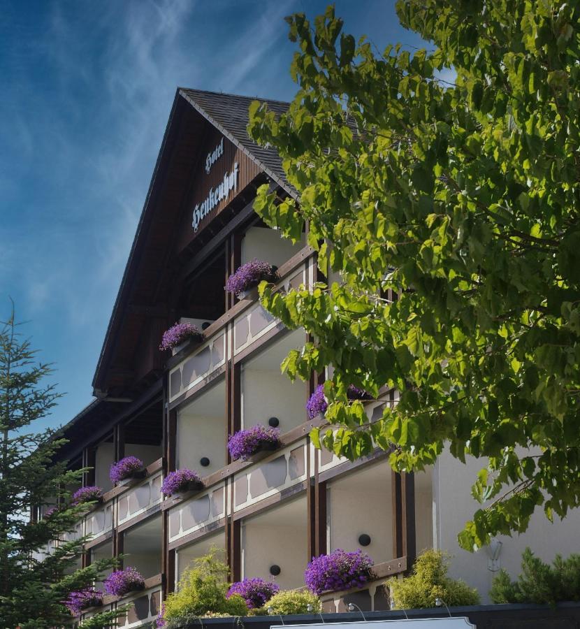 Landhotel Henkenhof Willingen Willingen  Extérieur photo