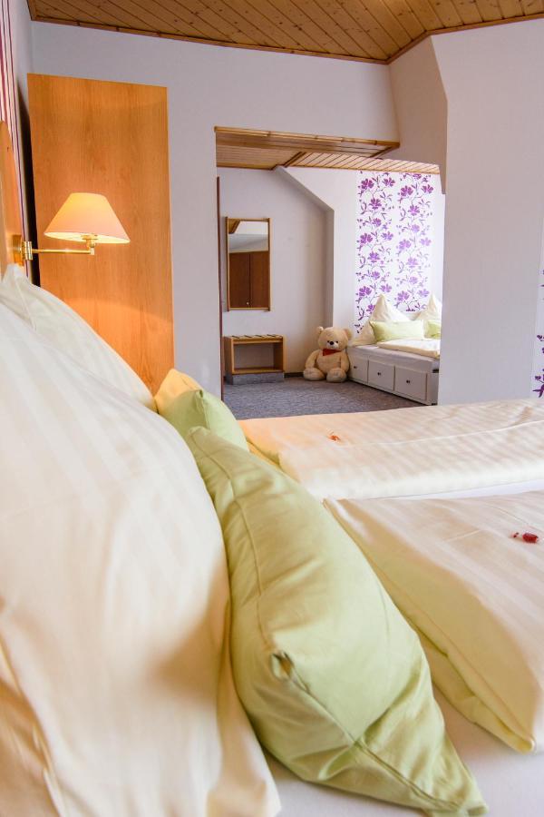 Landhotel Henkenhof Willingen Willingen  Extérieur photo