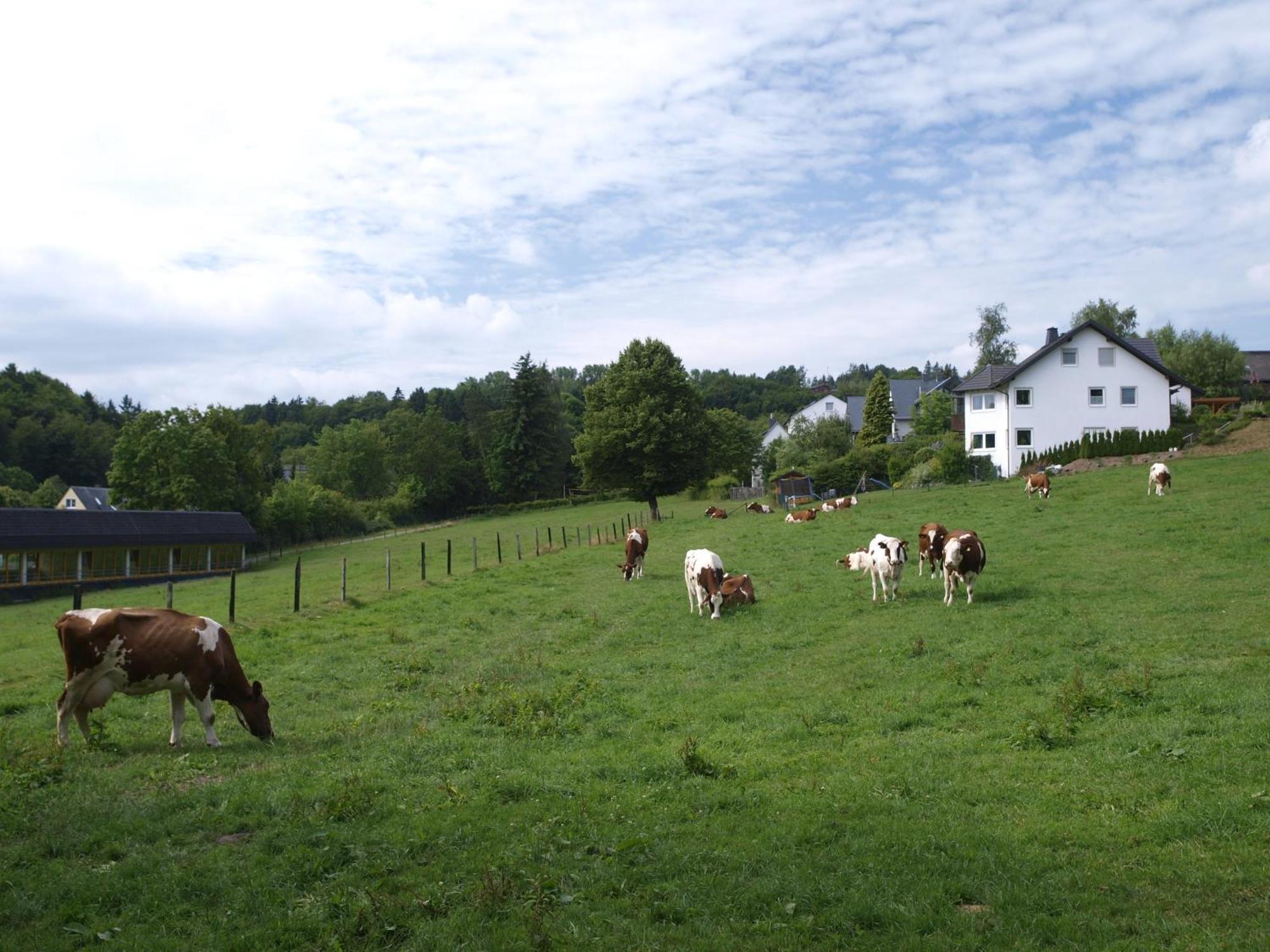 Landhotel Henkenhof Willingen Willingen  Extérieur photo